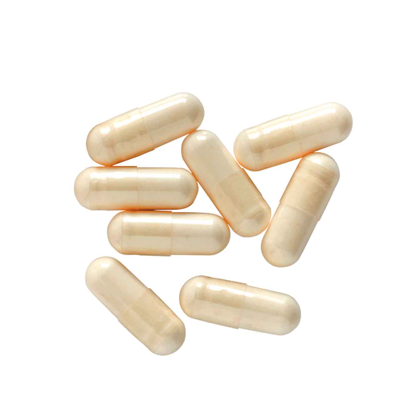 Psillio Biondo Bio - Bucce pure al 99% | 180 capsule - Image 5