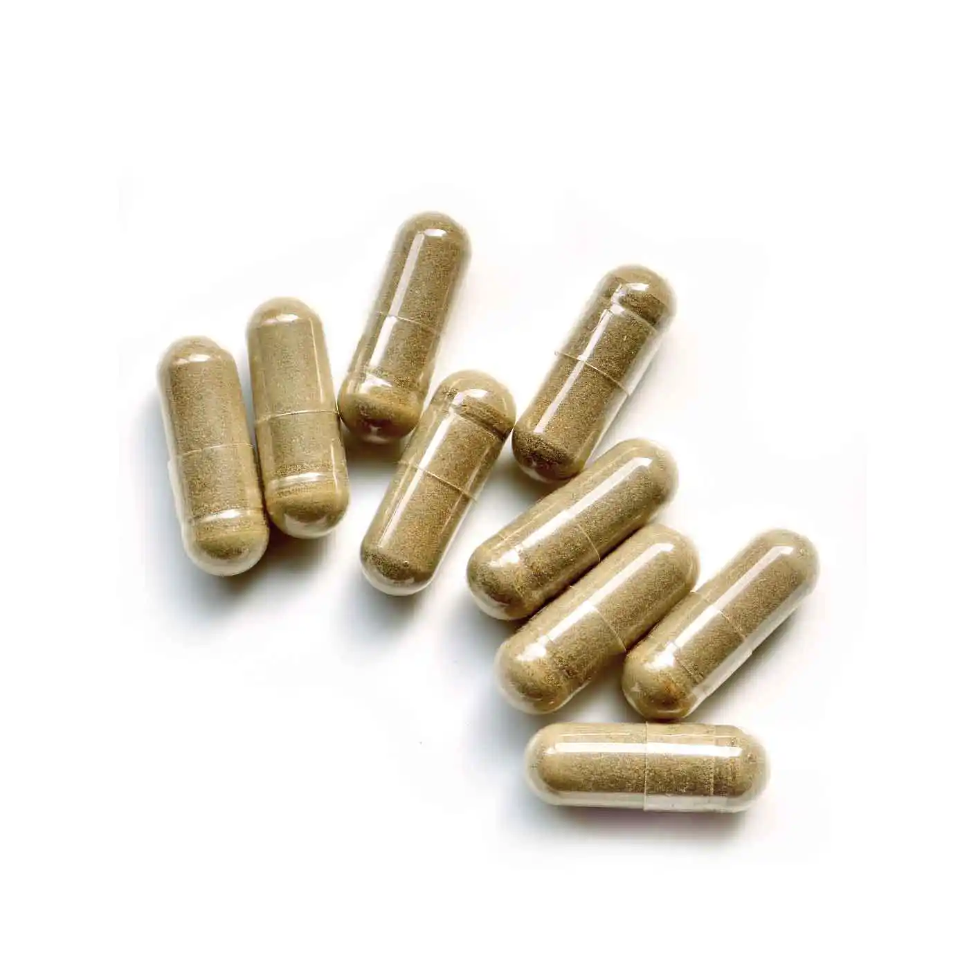 Cardo Mariano Bio | 120 capsule - Image 5
