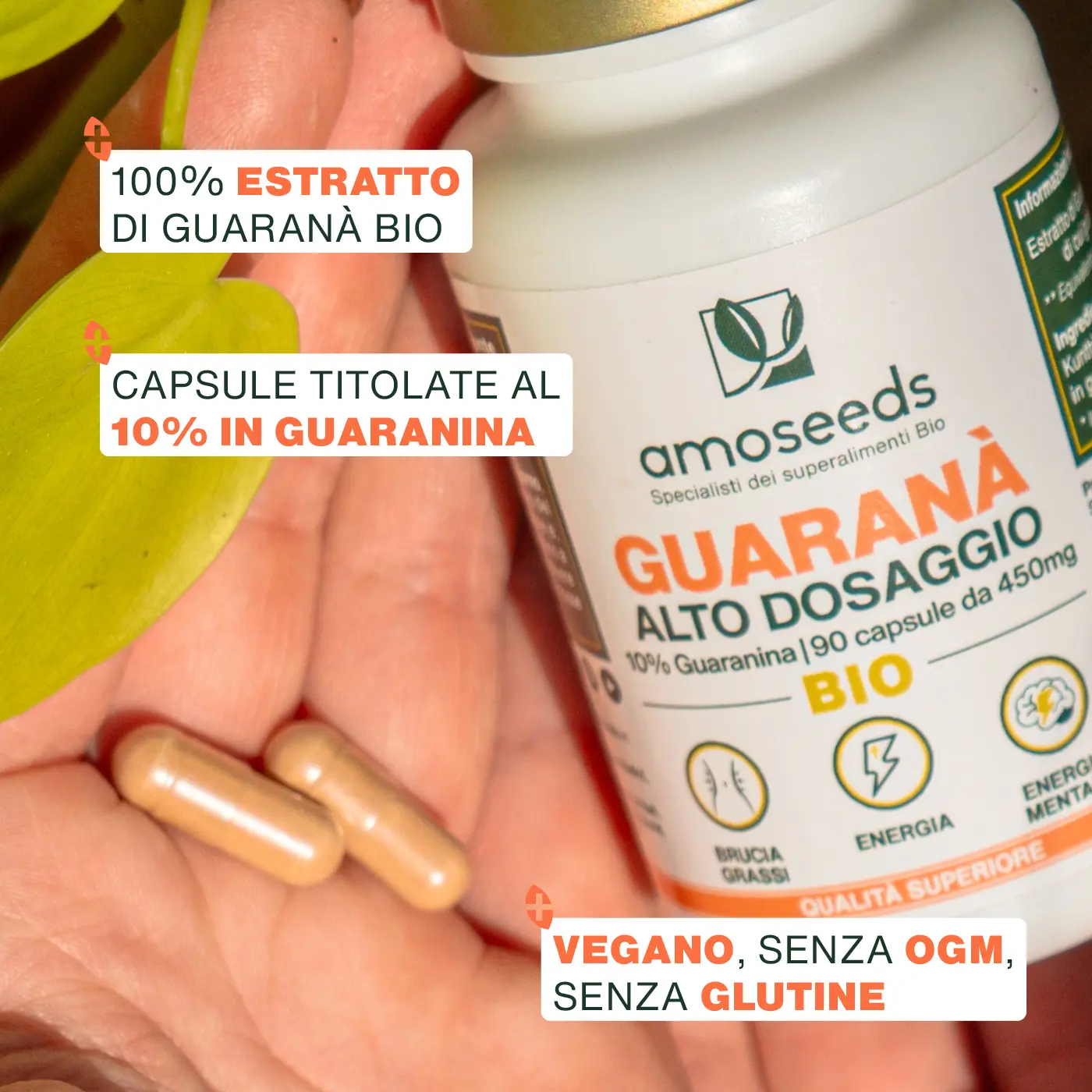 Guaranà Bio, 10% guaranina | 90 capsule - Image 3
