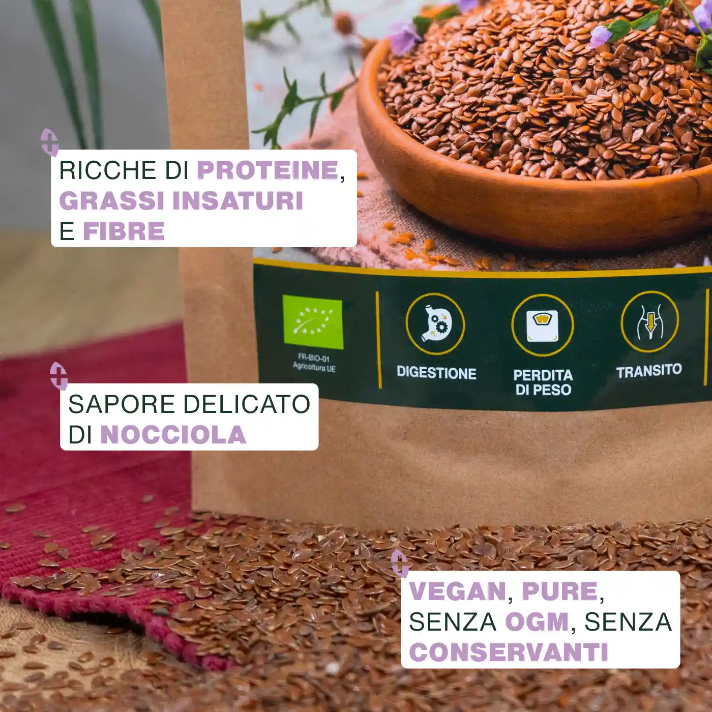 Semi di Lino Marrone Bio 1KG - Image 3