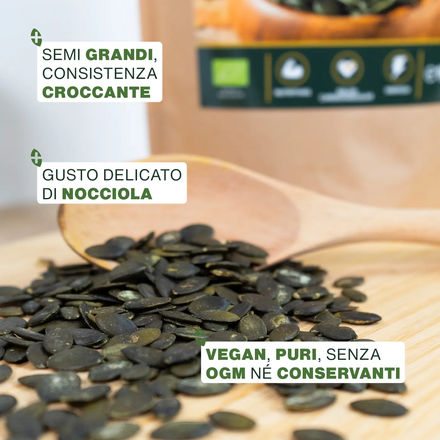 Semi di Zucca Bio 1KG - Image 3